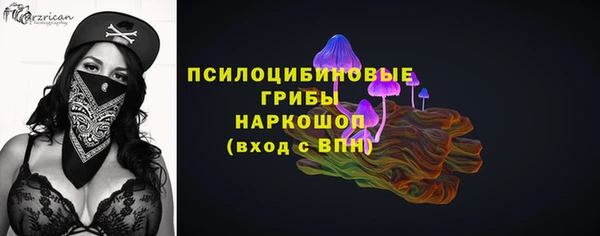 mdpv Няндома