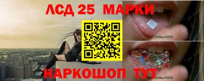 прущие грибы Краснокаменск