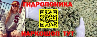спиды Краснознаменск