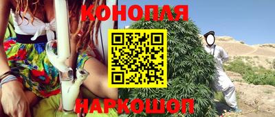 прущие грибы Краснокаменск