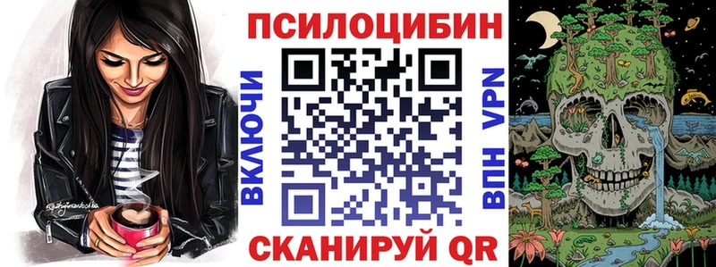 купить   Сургут  Псилоцибиновые грибы мицелий 