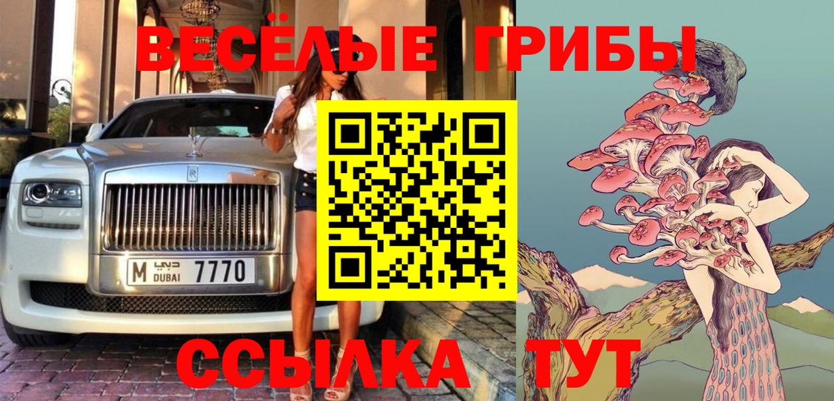 Галлюциногенные грибы Psilocybe  Сургут 