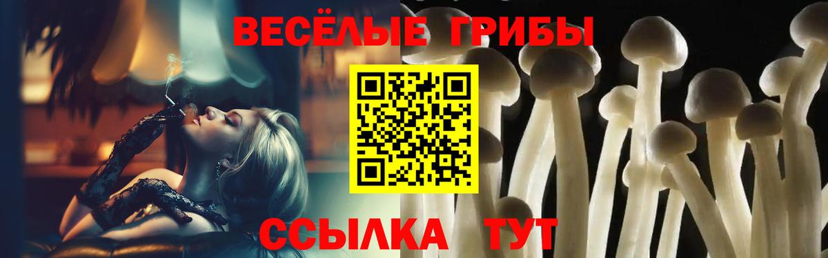 Галлюциногенные грибы Psilocybe Сургут